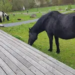 Ferienhaeuser Ratsmuehle, Haus Am Teich * Ilmenau