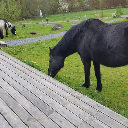 Ferienhaeuser Ratsmuehle, Haus Am Teich * Ilmenau