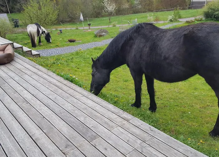 Ferienhaeuser Ratsmuehle, Haus Am Teich * Ilmenau